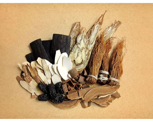 traditional-chinese-chinese-medicine-medicinal-herbs-chinese-herbal-medicines