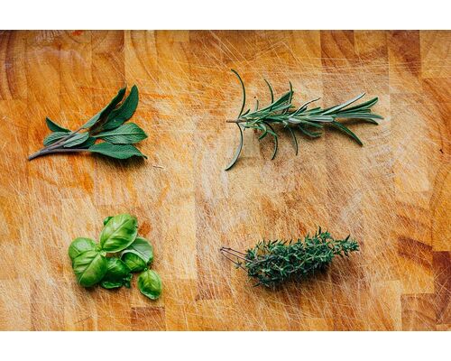 basil-fresh-green-herbs