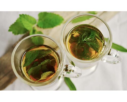 herbal-tea-herbs-tee-mint